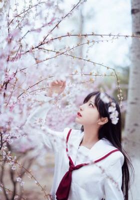 欲望旅馆在线观看_国产剧免费高清观看